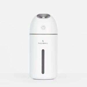 Hey Dewy Wireless Facial Humidifier